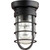 Industrial Bowery 1 Light Ceiling Mount In Noir