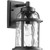 Winston 1 Light Wall Lantern In Noir