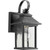 Transitional Pearson 5" Wall Lantern In Noir