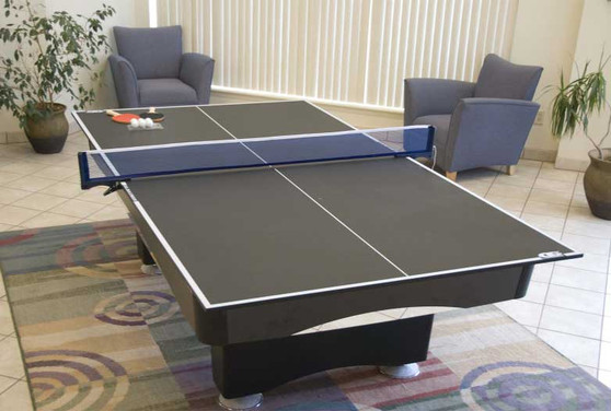 Olhausen Table Tennis Conversion Top in Black