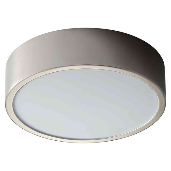 Peepers 10" Ceiling Mount Light