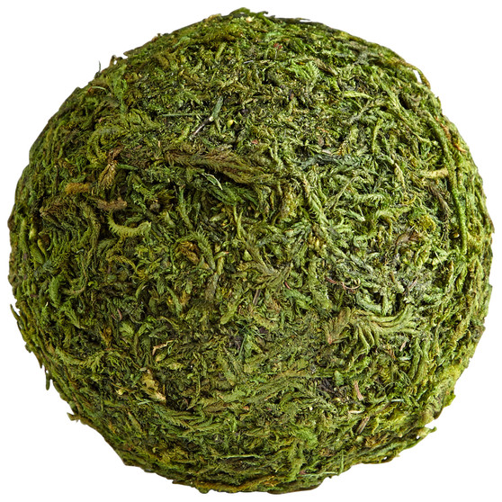 Bermuda Sphere | Green Moss - Small