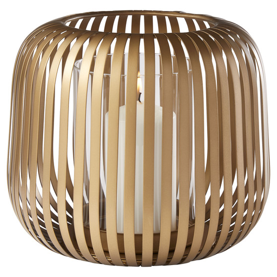 Liny Hurricane | Gold - Large