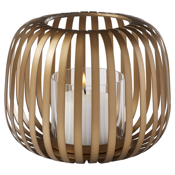 Liny Hurricane | Gold - Medium