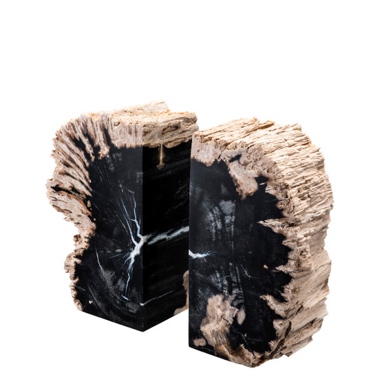 Bookend Opia Petrified Wood Set of 2