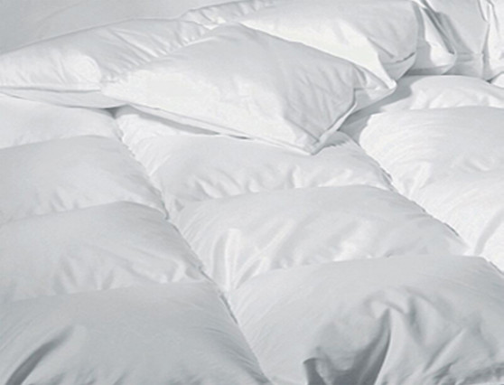 Sweet Dreams Winter Comforter Full