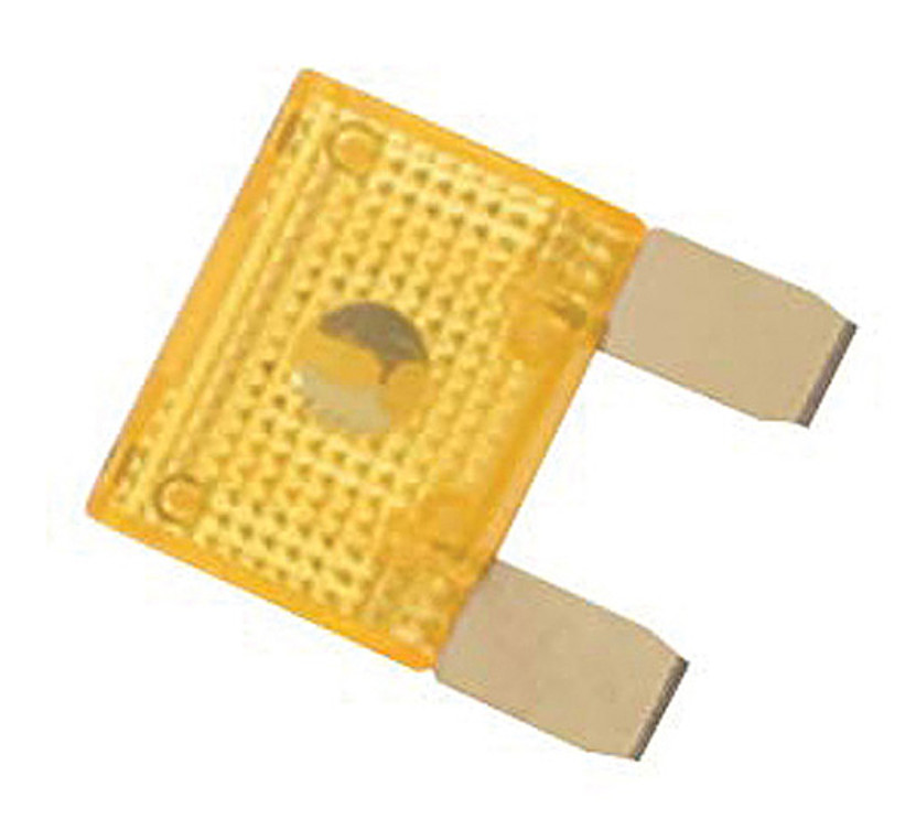 Rockford Fosgate 100 Amp Maxi Fuse