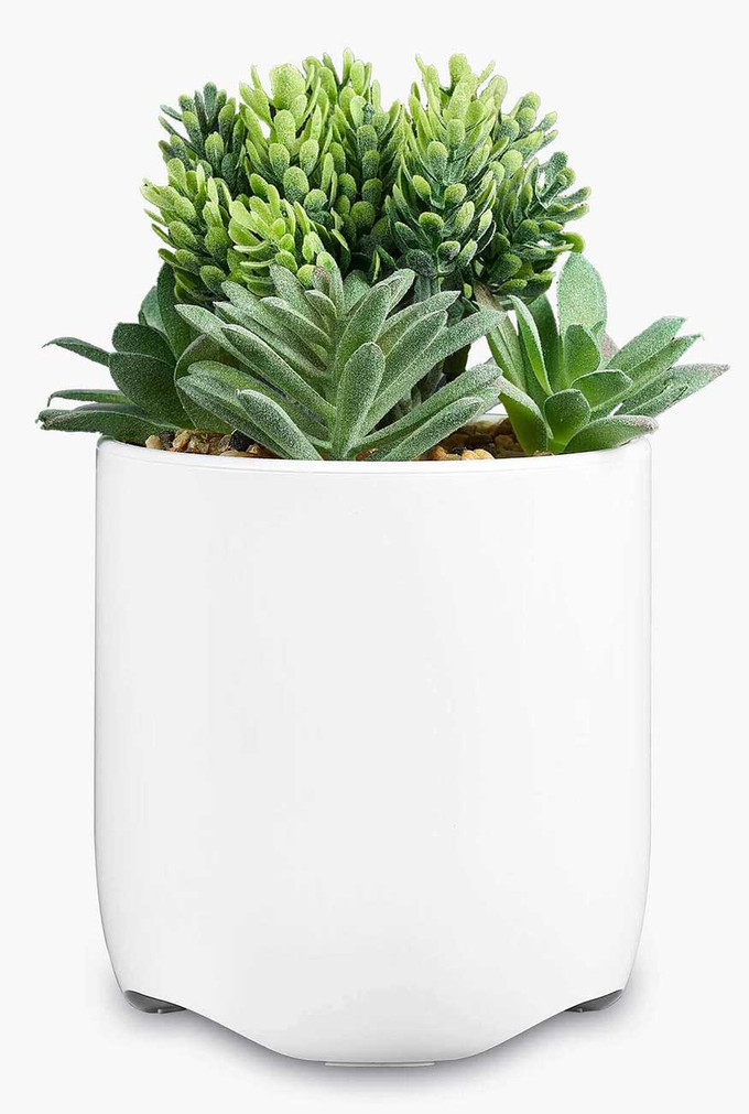 iHome Faux Succulent Charging Station