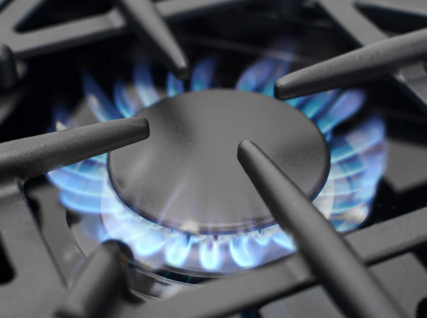 BlueStar Culinary Series 48 In. Stainless Steel Natural Gas Range