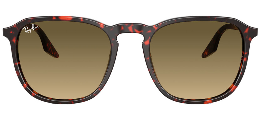 Ray-Ban RB2203 Sunglasses 52mm in Polished Havana Red Turtle with Brown Vintage Gradient Black Lenses