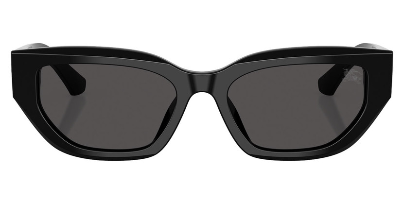 Burberry Sunglasses 54mm with Dark Grey Lenses (1)