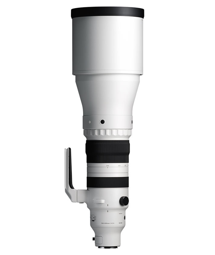 Sigma 300-600mm F4 DG OS Sports Lens For Sony E-Mount