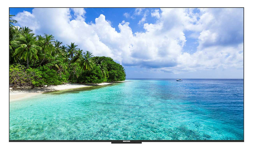 Neptune Outdoor Smart TV 65-Inch Full Shade 4K