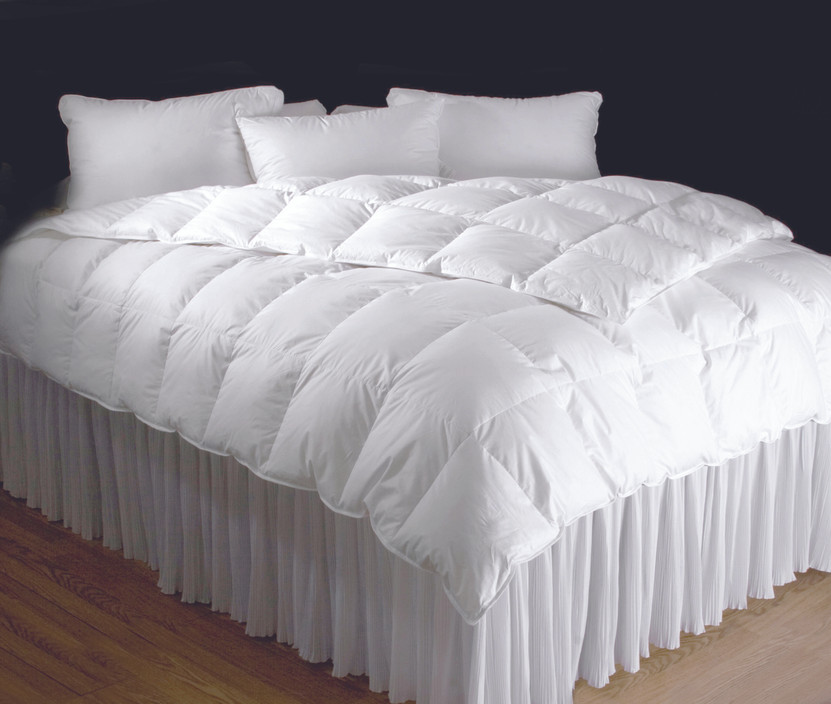 Calla LilyYear Round Comforter Queen