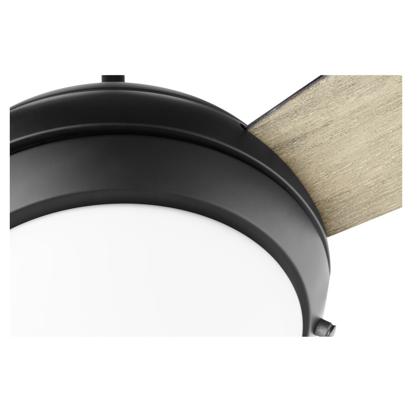 Expo 60" 3 Blade LED Fan - Black