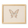 Loloi Butterfly Beige Ivory  Brown 1 x 1-3 Wall Art