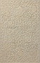 Loloi Prudence Sage  Ivory 18 x 18 Sample Rug
