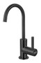 Franke Steel Black Stainless Steel Cold Water Filtration Dispenser