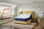 Stearns  Foster Studio Medium Euro Pillow Top Twin Mattress