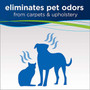 Bissell 32 Oz PET Spot  Stain Portable Carpet Cleaning Formula