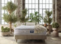 A.H. Beard Mattress Brisbane 3.0 Luxury Firm - Twin XL