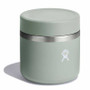 Hydro Flask Insulated Food Jar 20 Oz in Agave