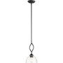 Transitional Brooks 1 Light Mini Pendant In Noir