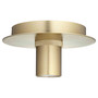 Modern Keyless Ceiling Mount