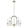 Soft Contemporary Espy 5 Light Chandelier In Noir And Aged Brass