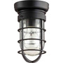 Industrial Bowery 1 Light Ceiling Mount In Noir