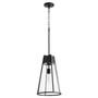 Transitional 19" Pylon Pendant In Noir And Clear