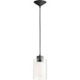 Transitional 1 Light Clear /Frost Pendant In Noir