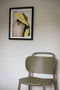 Chair Ayla - Green