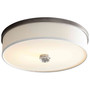 Echo Ceiling Mount Light
