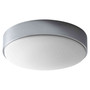 Journey 14" 1-Light Glass Ceiling Mount Light