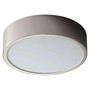Peepers 10" Ceiling Mount Light