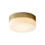 Zuri 7" Ceiling Mount Light