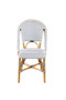 Leroy Side Chair, Blue - Set of 2