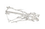 Root Wall Art, Large, Silver Leaf