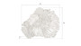 Flower Wall Art, Small, White, Metal