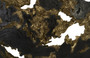 Burled Root Wall Art, Large, Black and Gold Leaf