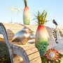 Royal Sea Star Sculpture | White and Polished Nickel - Medium