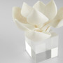 Oleander Sculpture | White - Medium