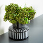 Lined Up Vase | Black - Small