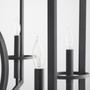 Oxalis Chandelier | Noir