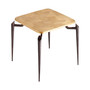 Tarsal Side Table | Black and Gold