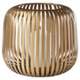 Liny Hurricane | Gold - Large