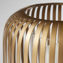 Liny Hurricane | Gold - Large
