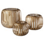 Liny Hurricane | Gold - Large