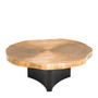 Coffee Table Thousand Oaks Brass Finish Set of 2